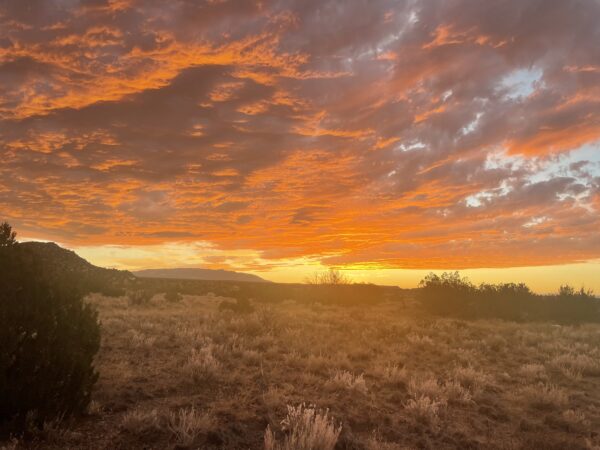 Break of Dawn Break Through, Summer Solstice 2025